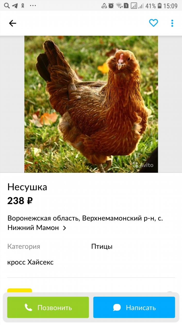 Доска бесплатных объявлений новохоперск воронежская область авито