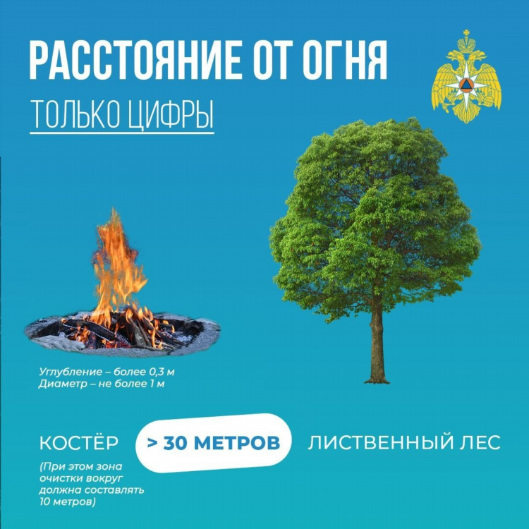 Доска объявлений якт скачать