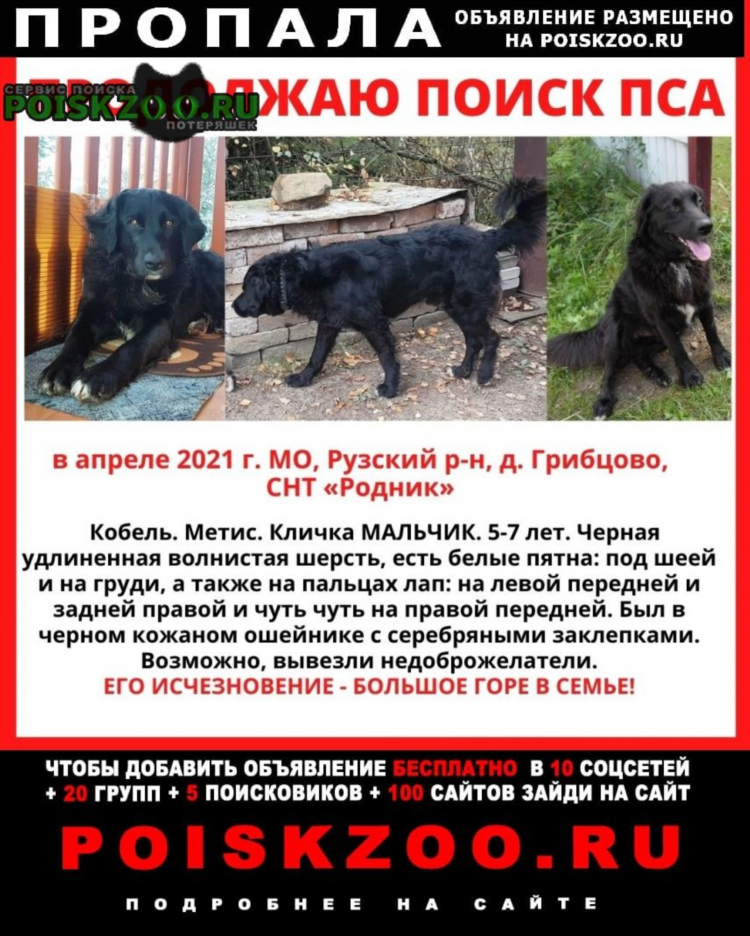 Доска объявлений объявления разместить б