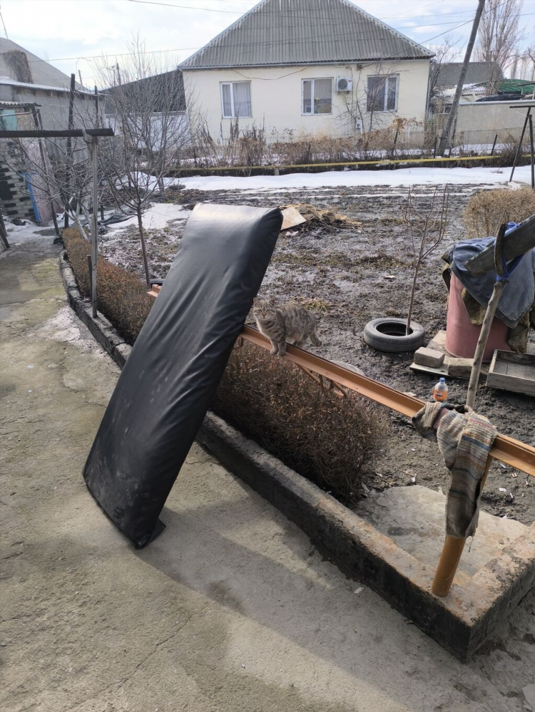 Доска объявлений отдам в дар