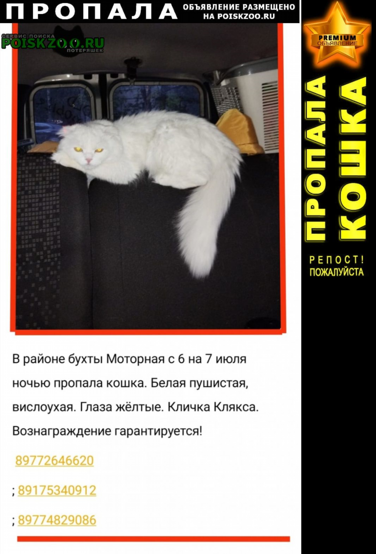 Доска объявлений приозерска
