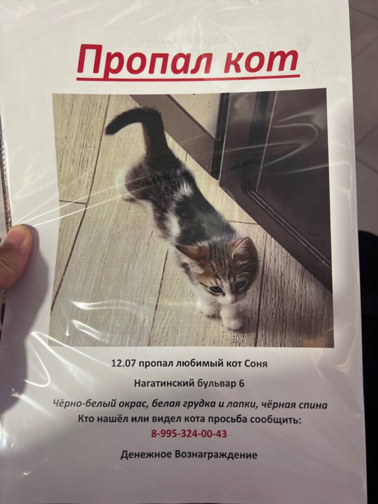 Купить дом в новоульяновске свежие объявления