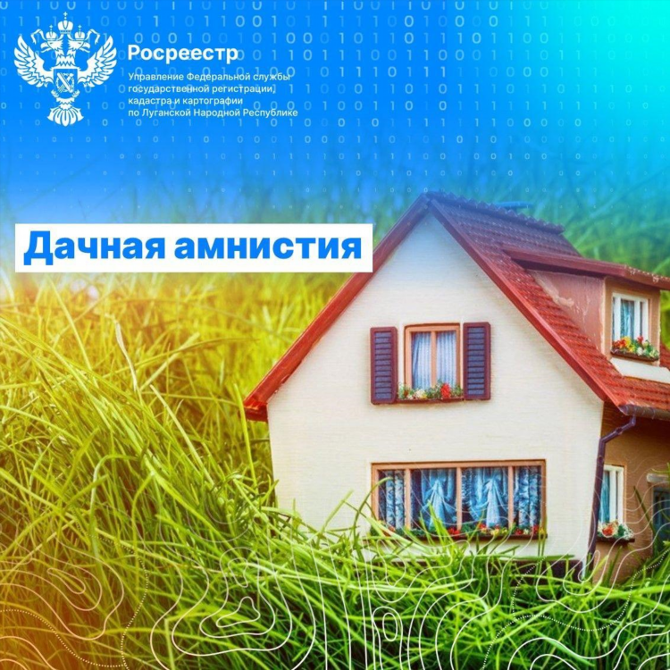 Объявление амнистии осуществление