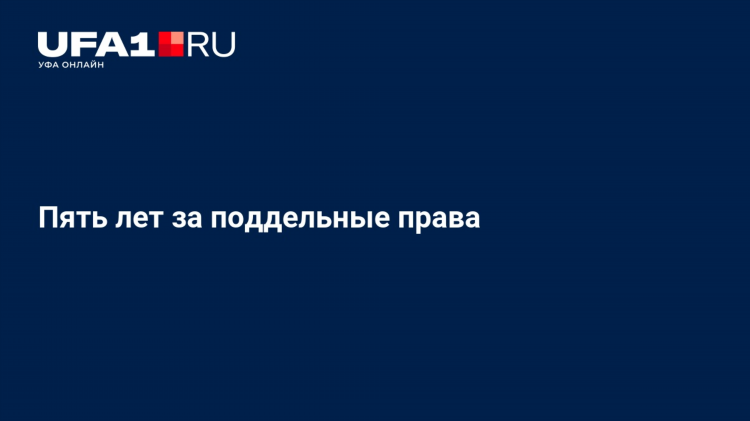 Объявление о пропаже кошки образец