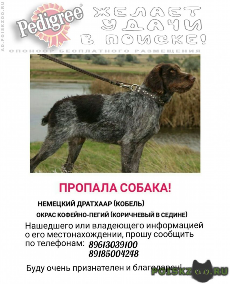 Объявления чалтырь
