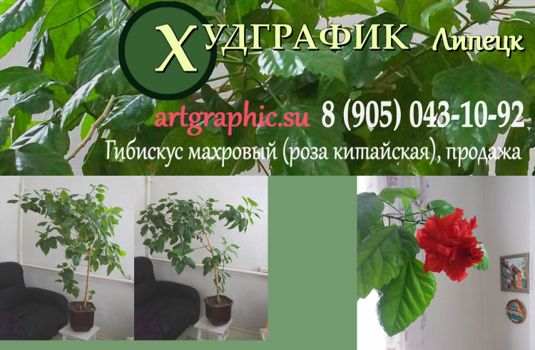 Объявления купи продай липецк