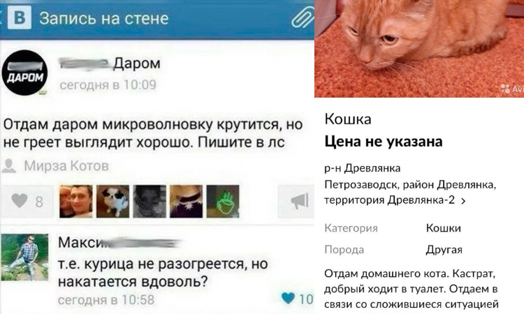 Объявления сухой лог бесплатные авито