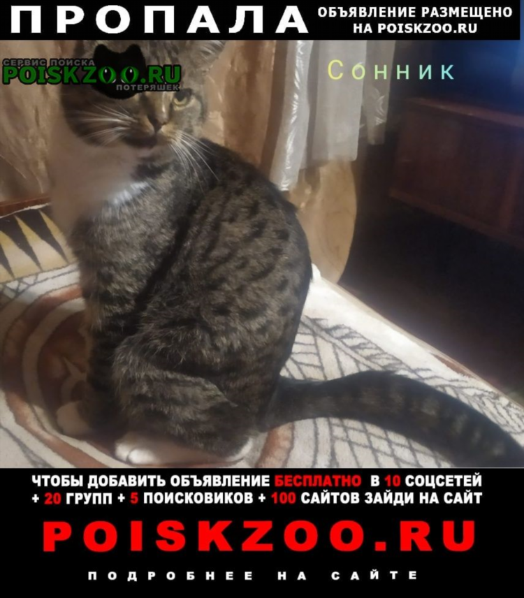 Объявления в ростове на дону