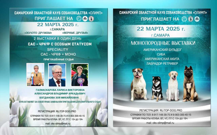 Потеря собаки объявления