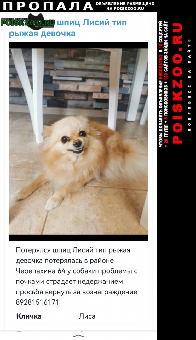 Rostov don ru доска объявлений