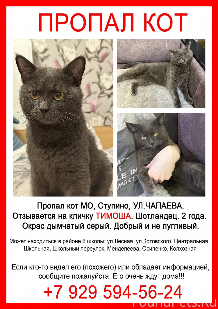 Ступино объявления