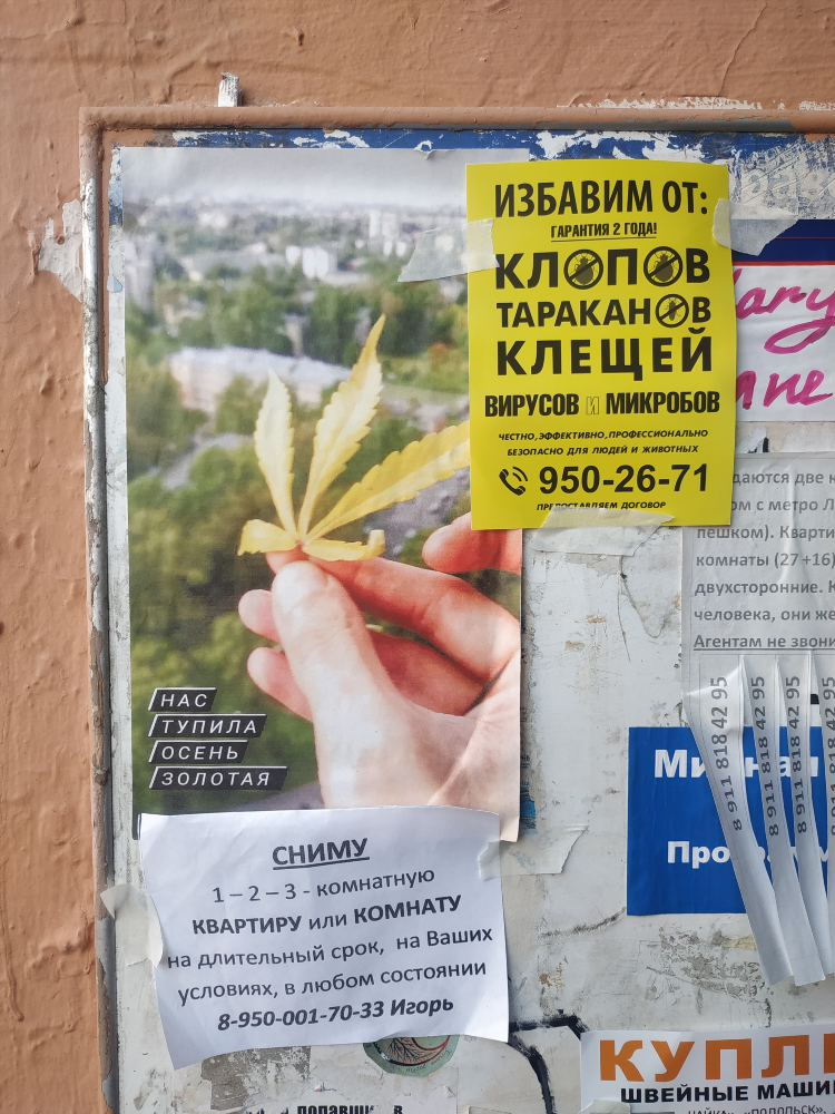 Unibo доска бесплатных объявлений