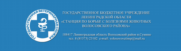 Волосовская доска объявлений
