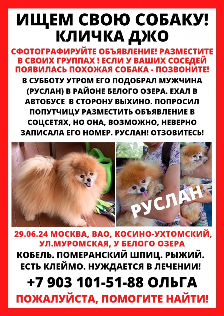 Выхино доска объявлений