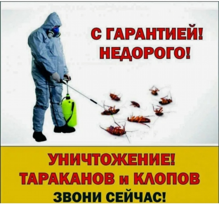 Жердештер ру объявление жумуш берилет подработка